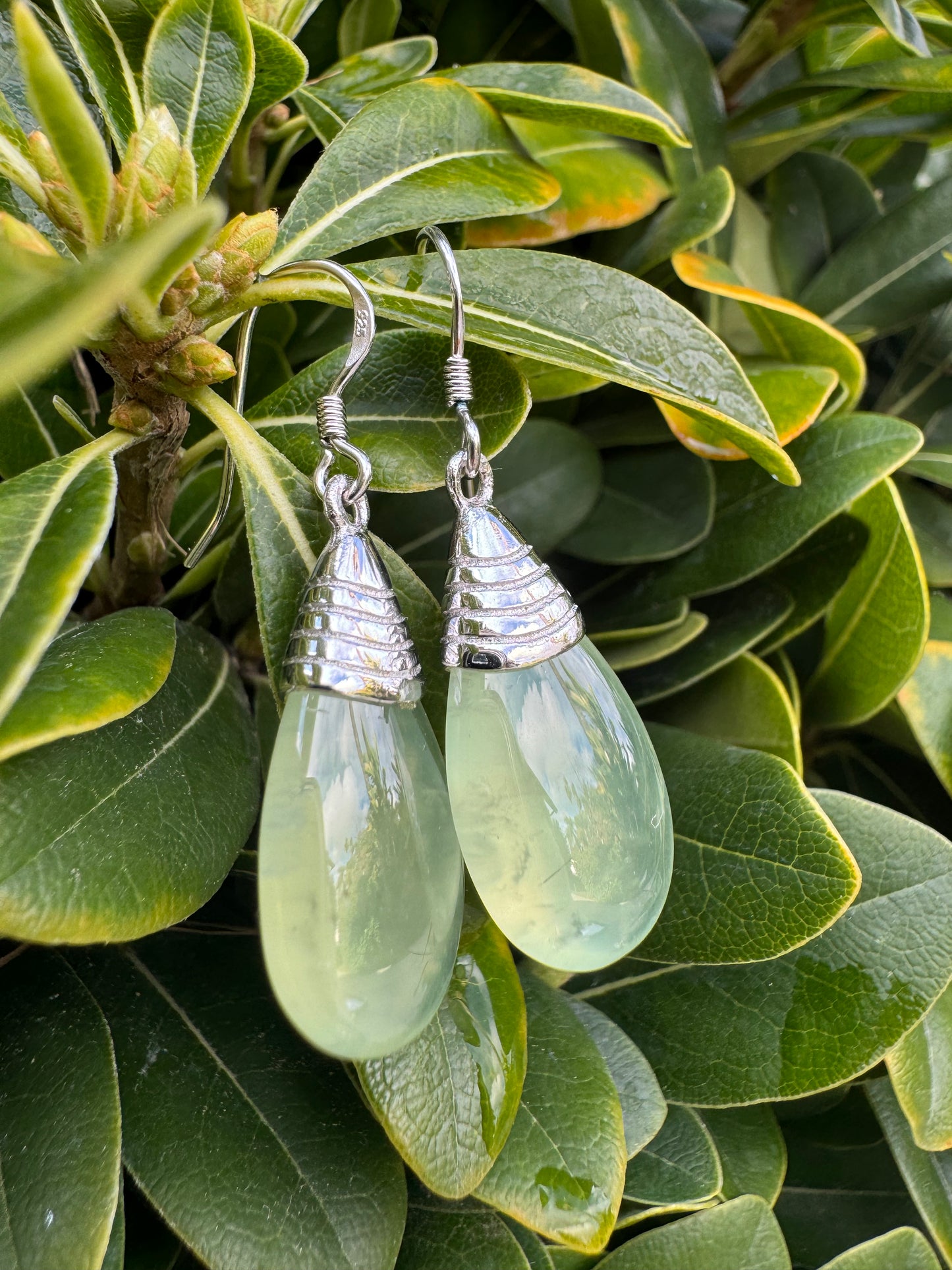 Tropical Tourmaline Earrings