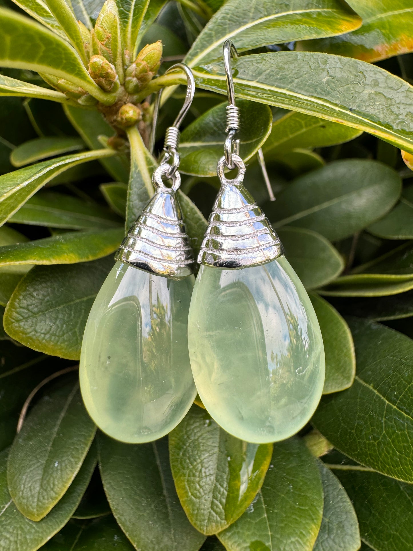 Tropical Tourmaline Earrings